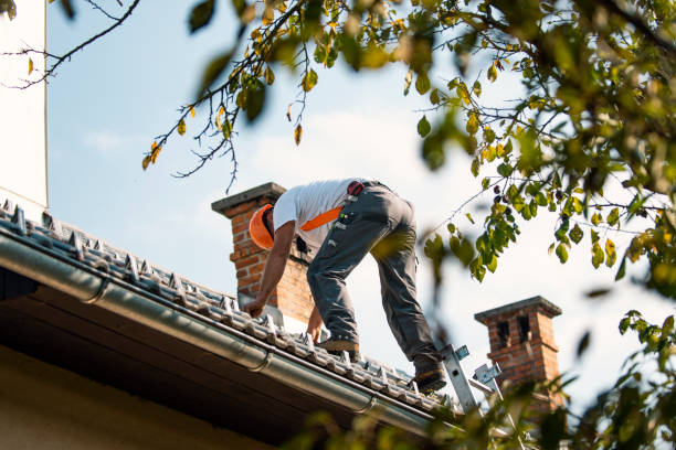 Best New Roof Installation  in Meadowbrook, VA