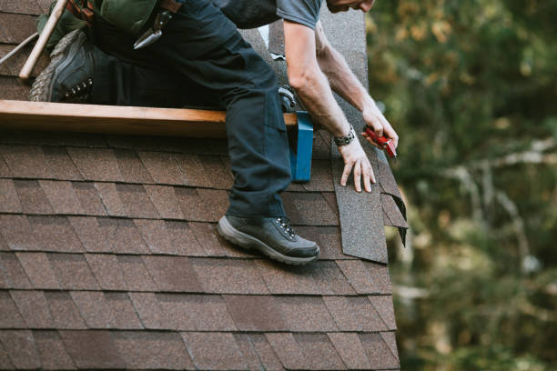 Best Storm Damage Roof Repair  in Meadowbrook, VA